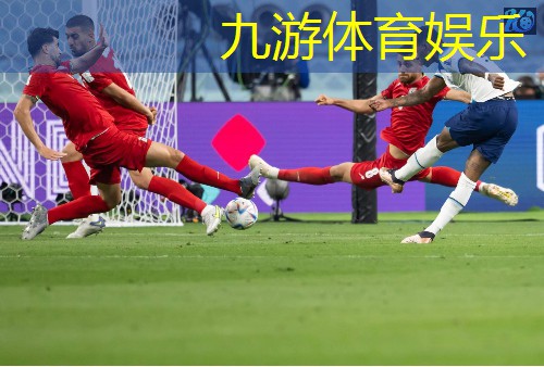 九游娱乐,小羊肖恩足球比赛剧情介绍